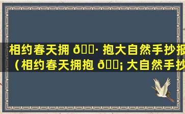 相约春天拥 🌷 抱大自然手抄报（相约春天拥抱 🐡 大自然手抄报怎么画）